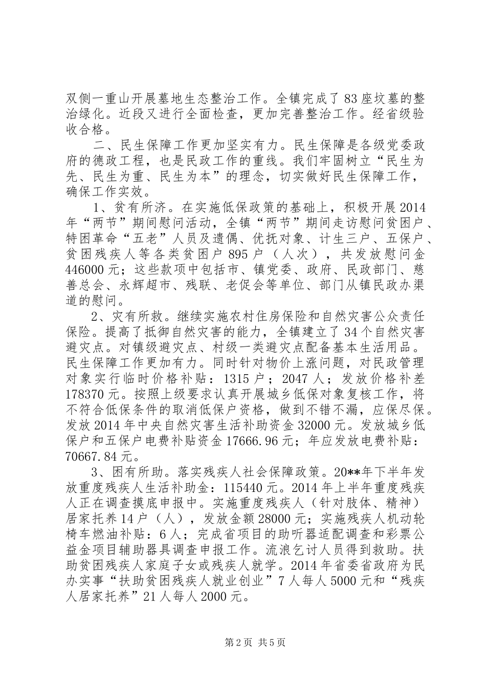 乡镇XX年民政工作总结_第2页