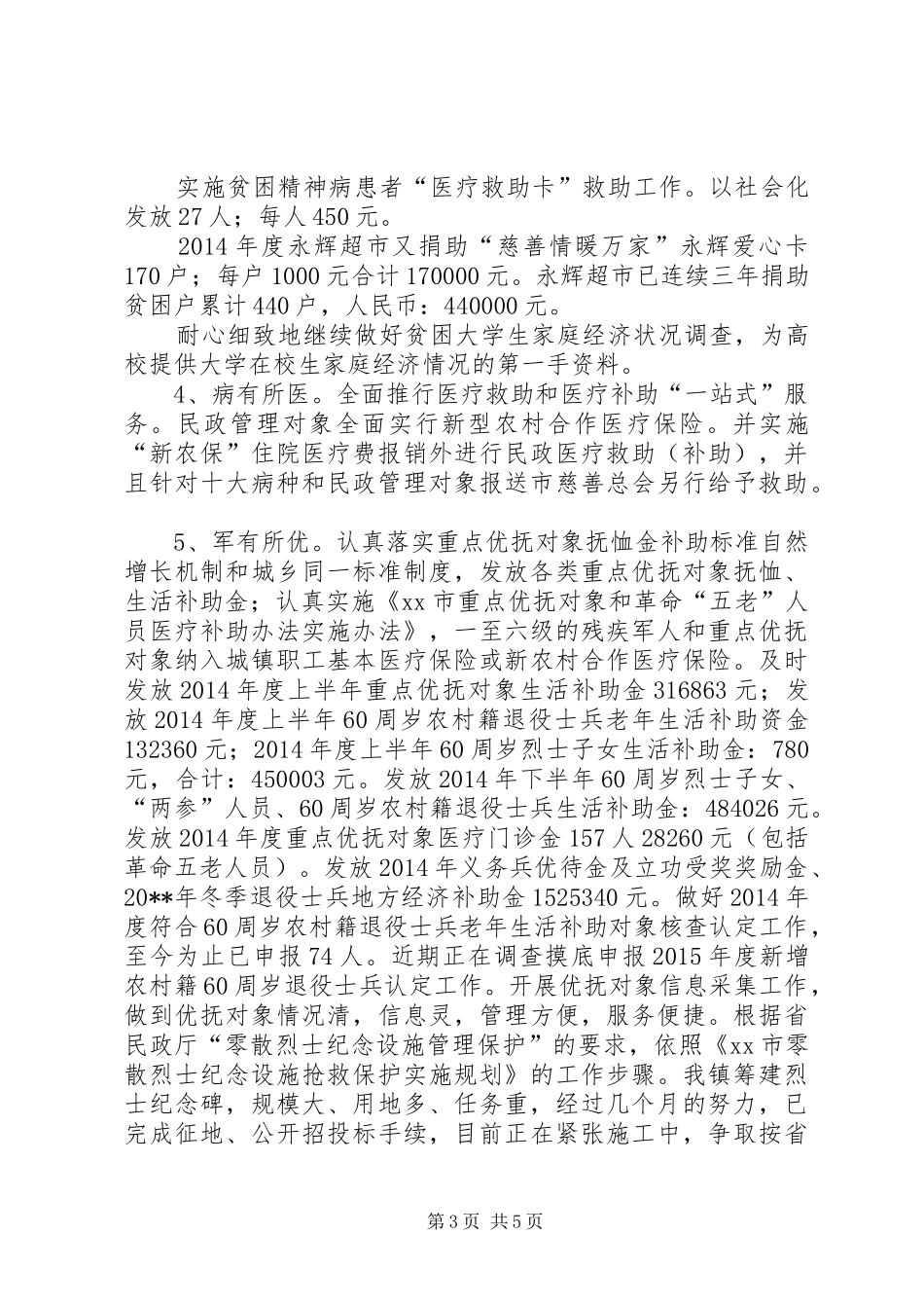 乡镇XX年民政工作总结_第3页