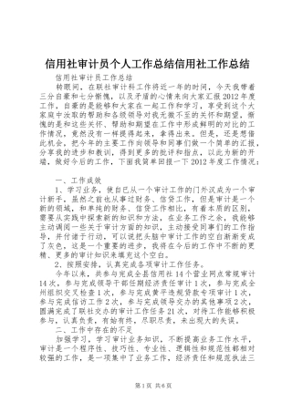 信用社审计员个人工作总结信用社工作总结