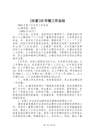 [注意]XX年镇工作总结