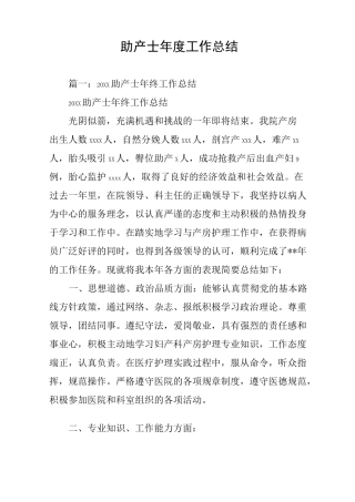 助产士年度工作总结
