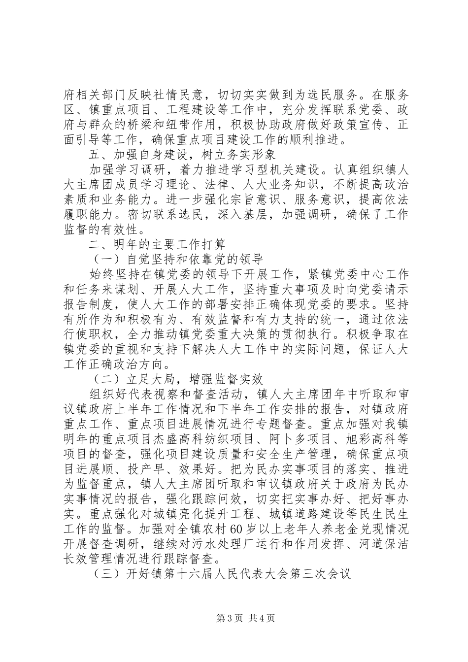 人大年度工作总结_第3页