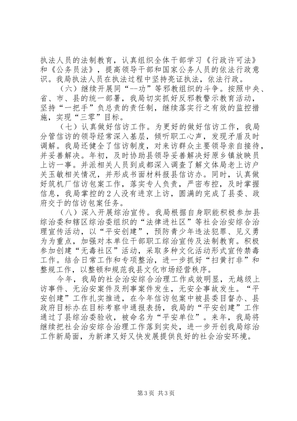 XX年文体局综治工作总结范文_第3页