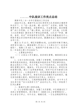 ......中队战训工作亮点总结 (3)