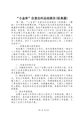 “小金库”自查自纠总结报告(经典篇)