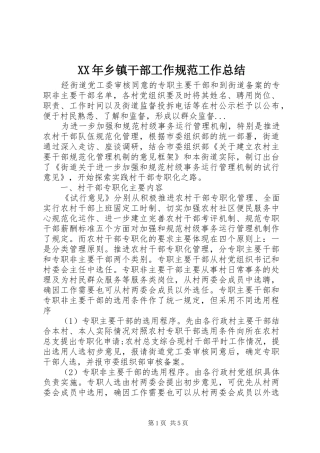 XX年乡镇干部工作规范工作总结