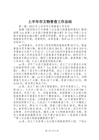 上半年市文物普查工作总结