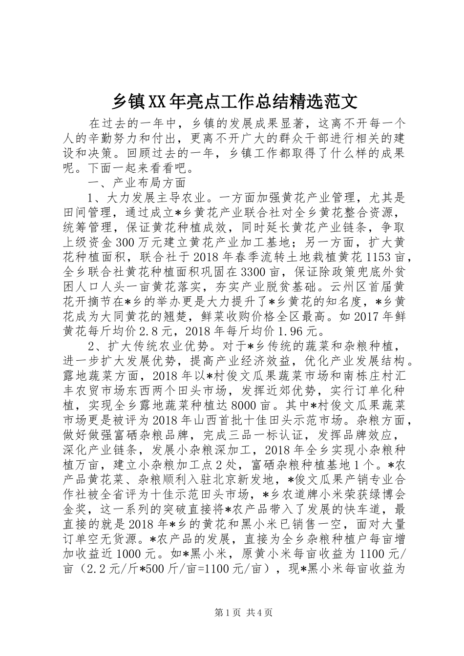 乡镇XX年亮点工作总结精选范文_第1页