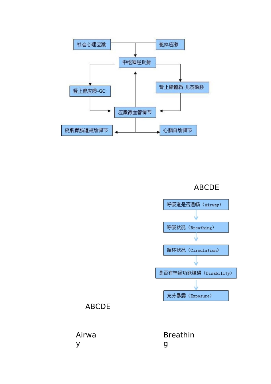 多发伤的急诊急救_第3页