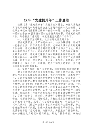 XX年“党建提升年”工作总结