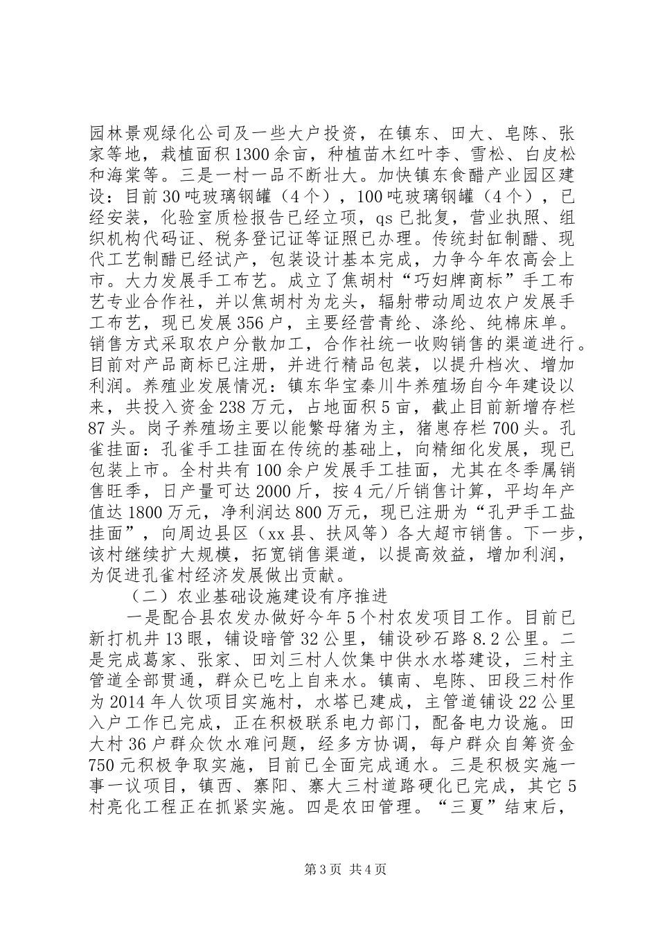 XX年乡镇工作总结及XX年工作思路_第3页