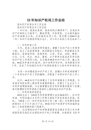 XX年知识产权局工作总结 (3)