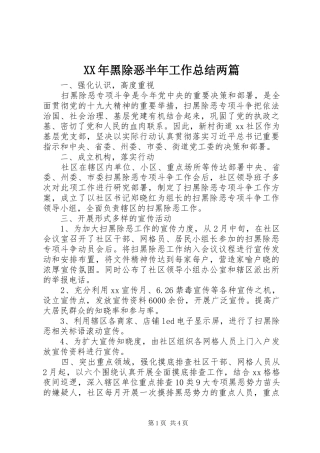 XX年黑除恶半年工作总结两篇