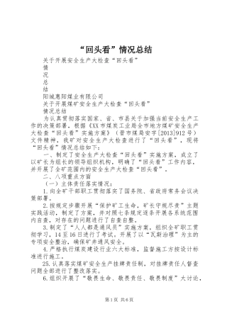 “回头看”情况总结