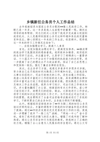 乡镇新任公务员个人工作总结