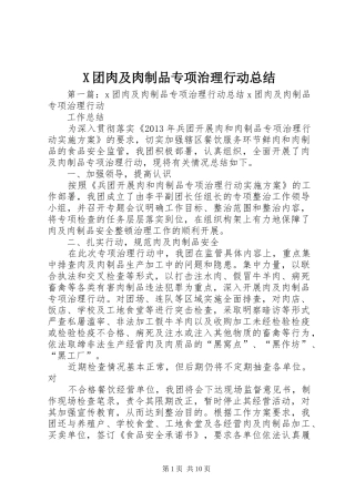 X团肉及肉制品专项治理行动总结