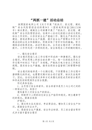 “两抓一建”活动总结 (3)