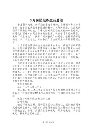 3月份团组织生活总结