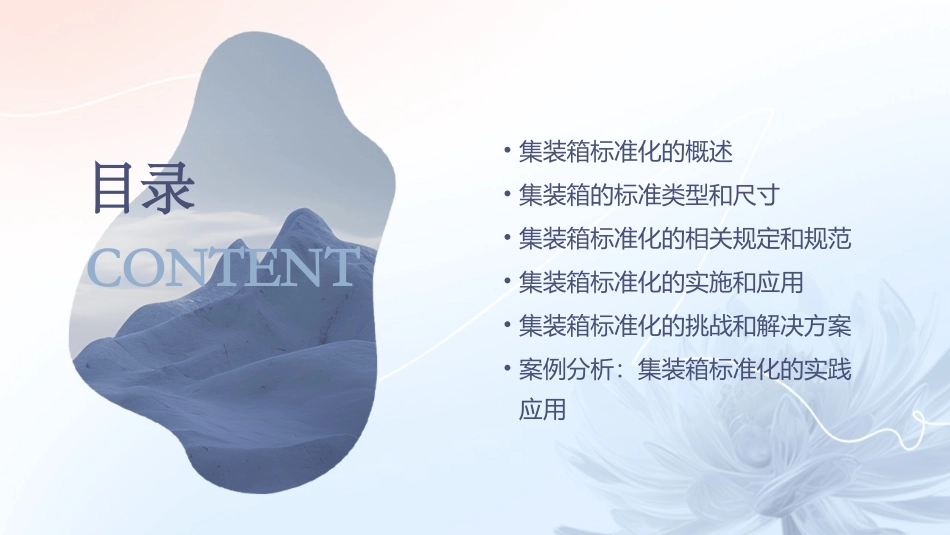 集装箱标准化课件_第2页