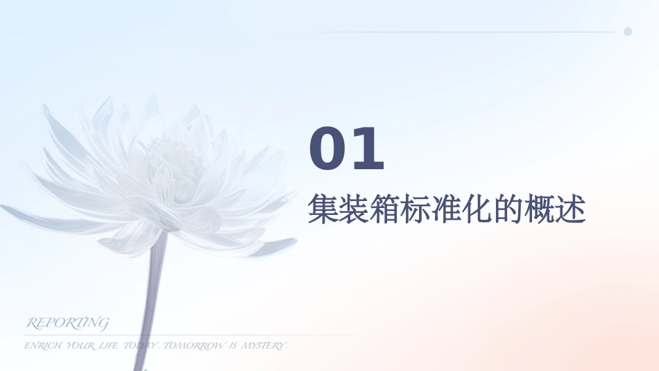 集装箱标准化课件_第3页