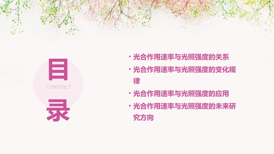 光合作用速率与光照强度课件_第2页