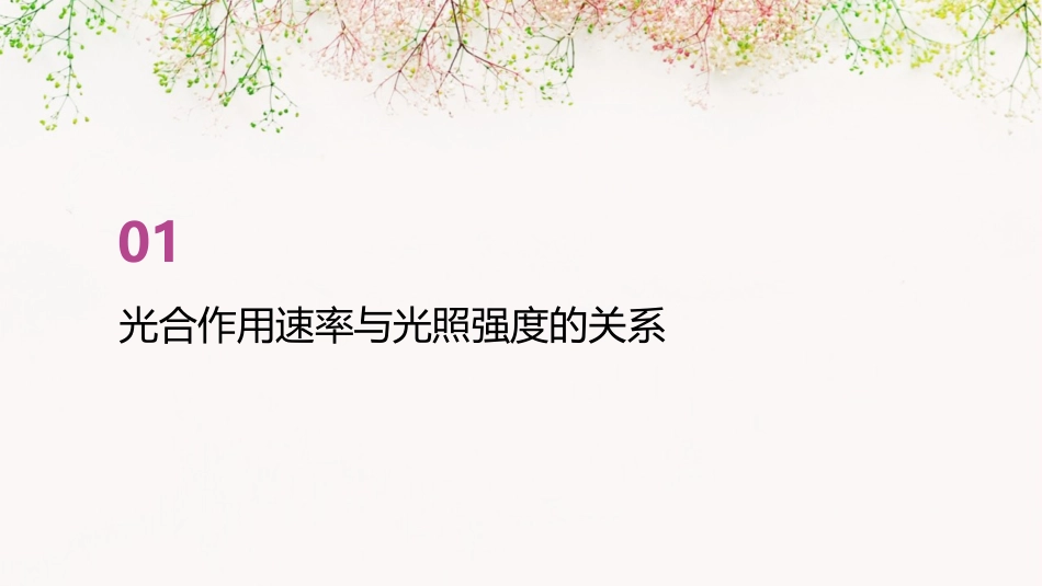 光合作用速率与光照强度课件_第3页