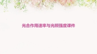 光合作用速率与光照强度课件