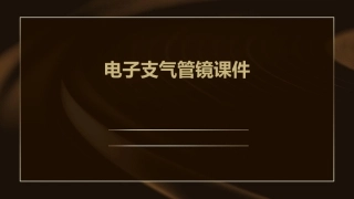 电子支气管镜课件