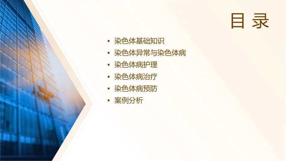 人类染色体与染色体病护理课件1_第2页