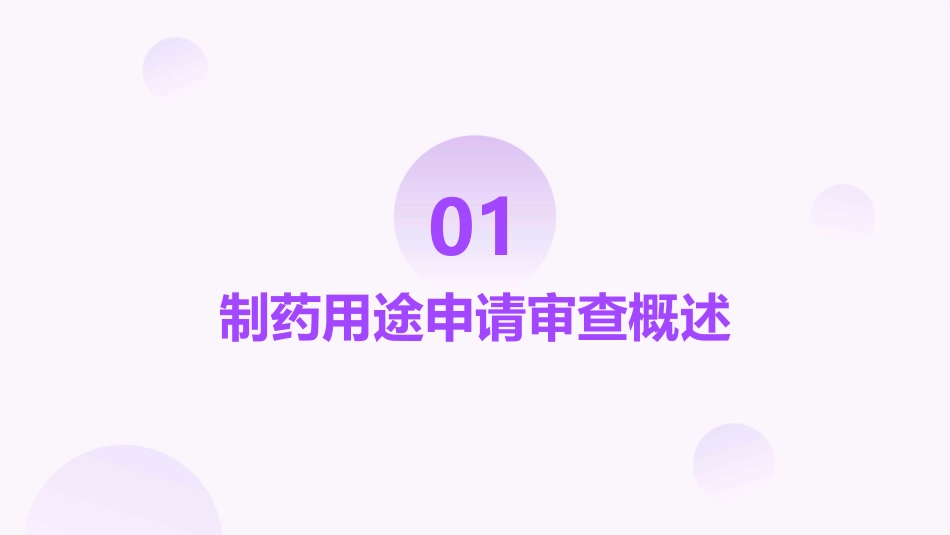 1制药用途申请审查课程护理课件_第3页