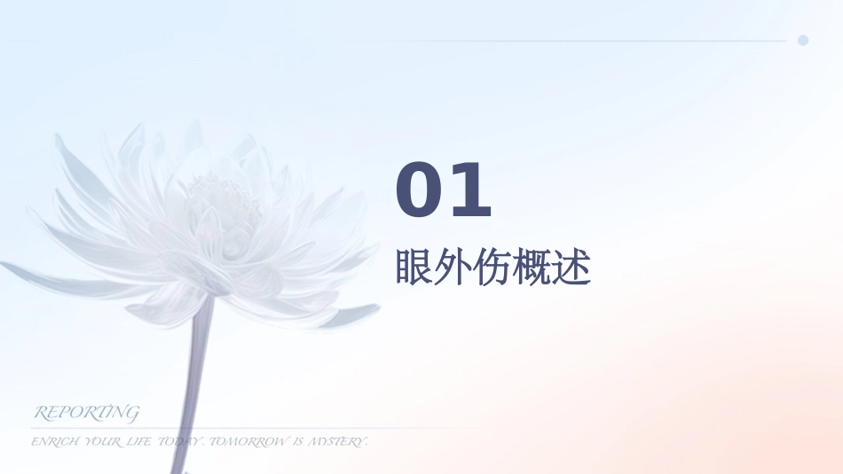 眼外伤急救处理与康复护理方案_第3页