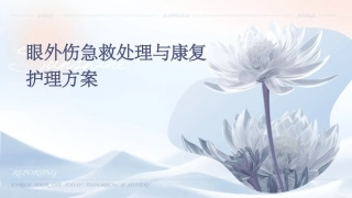 眼外伤急救处理与康复护理方案