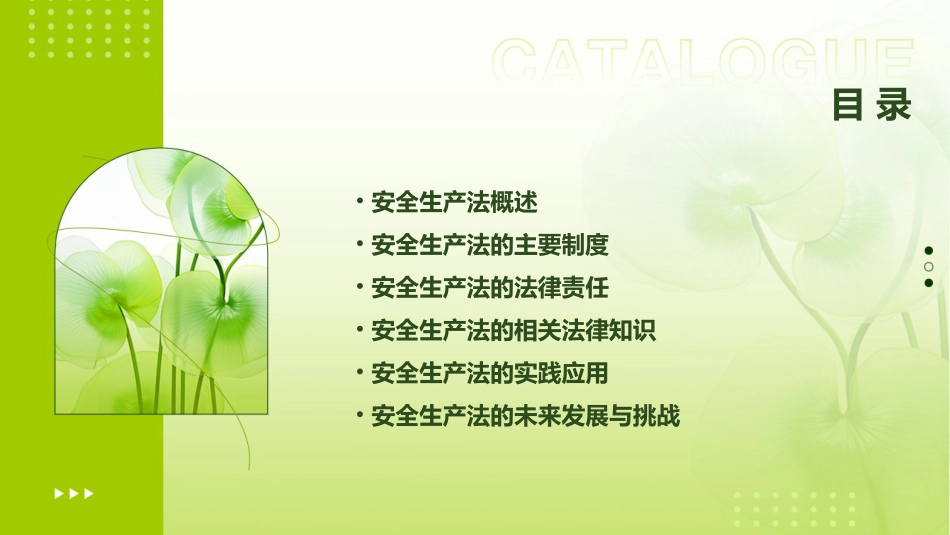 安全生产法及相关法律知识讲座课件_第2页