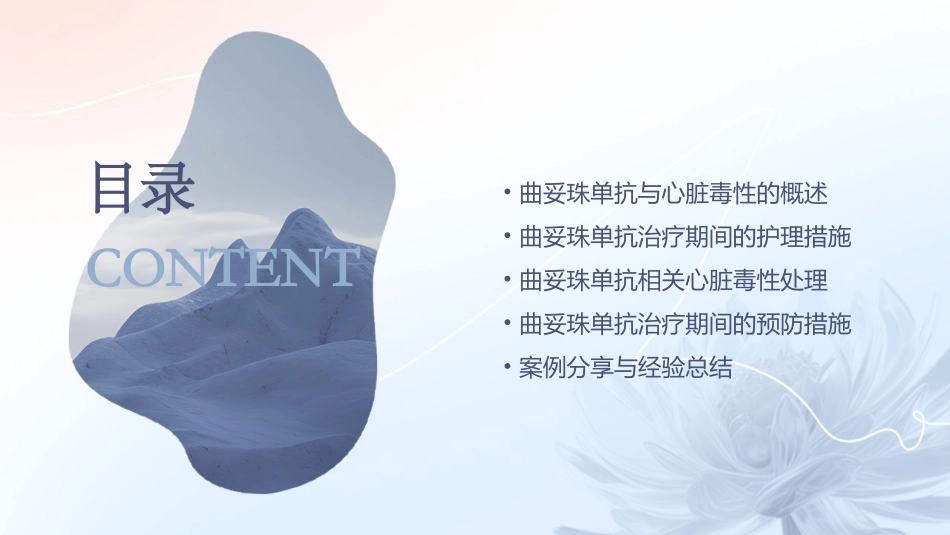 2020早期乳腺癌辅助治疗期间曲妥珠单抗相关心脏毒性护理课件_第2页