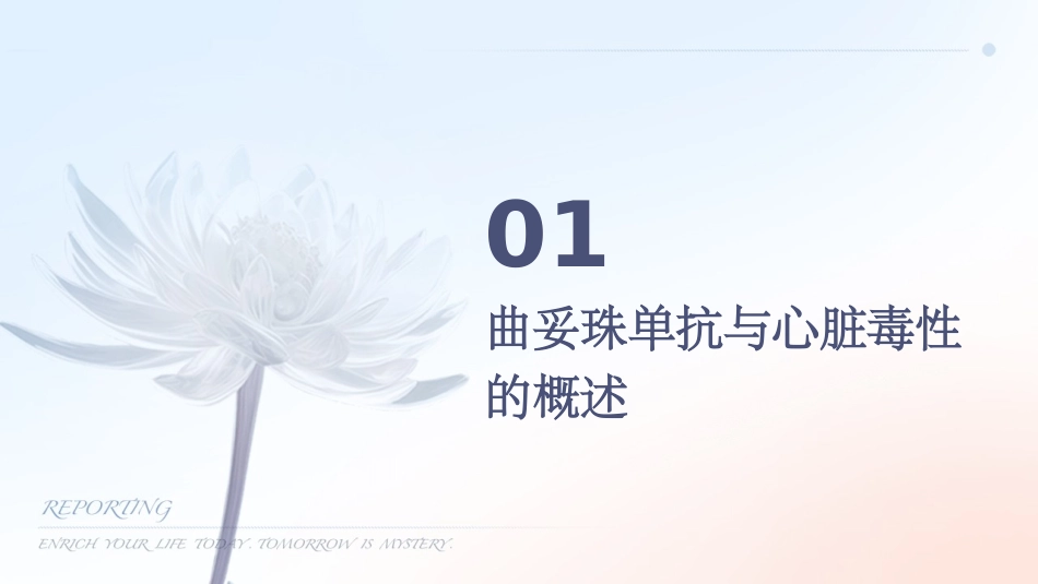 2020早期乳腺癌辅助治疗期间曲妥珠单抗相关心脏毒性护理课件_第3页