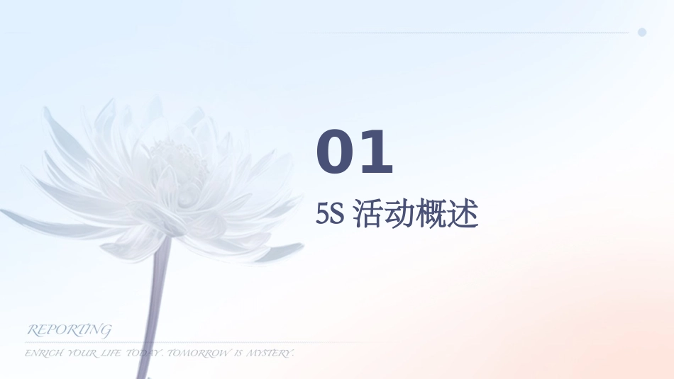 开展5S活动讲座内容5S活动讲座课件_第3页