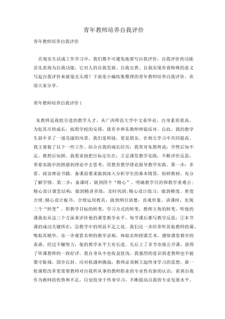 青年教师培养自我评价