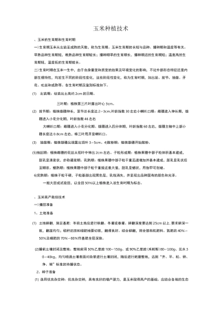 玉米种植技术