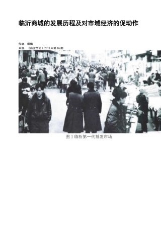 临沂商城的发展历程及对市域经济的促动作用