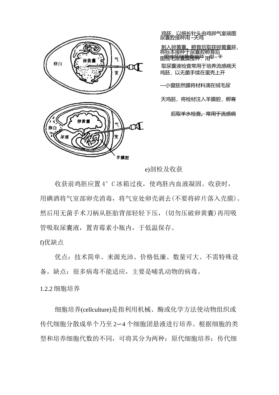 病毒的分离鉴定_第3页