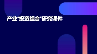 产业“投资组合”研究课件
