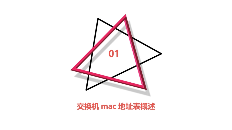 交换机MAC地址表管理课件_第3页