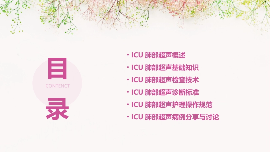 ICU肺部超声基础护理课件_第2页