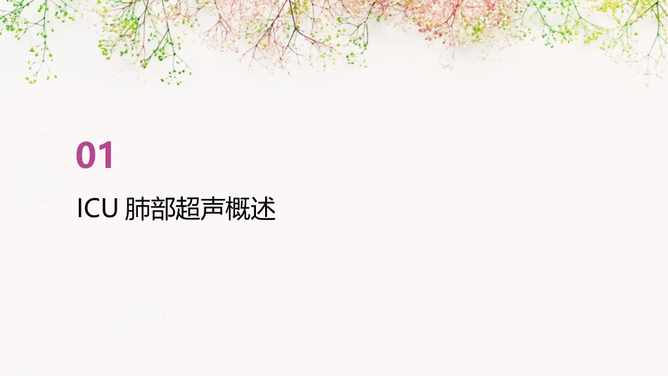 ICU肺部超声基础护理课件_第3页