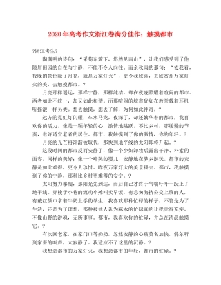 2024年高考作文浙江卷满分佳作触摸都市 