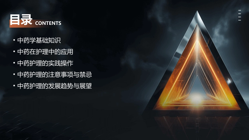 2中药学厦门大学应用护理课件_第2页