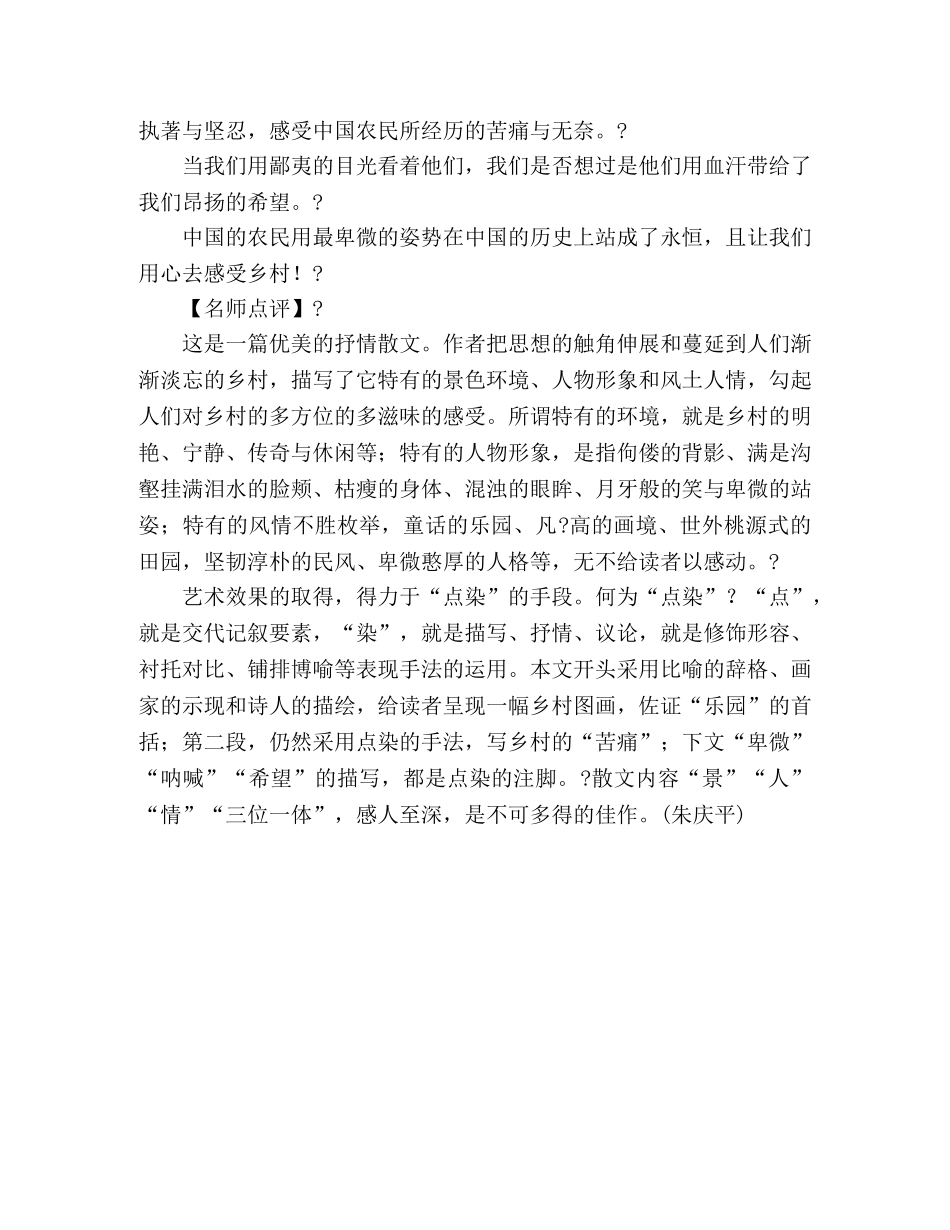 2024年高考作文浙江卷满分佳作感受乡村 _第2页