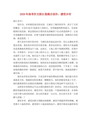 2024年高考作文浙江卷满分佳作感受乡村 