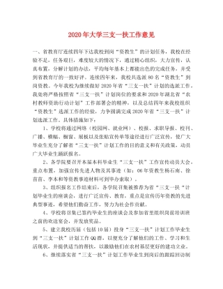 2024年大学三支一扶工作意见 