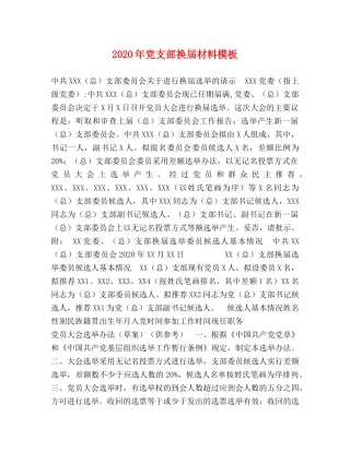 2024年党支部换届材料模板 